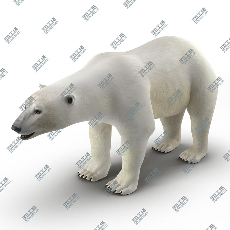 images/goods_img/202105071/Polar Bear/2.jpg